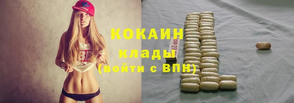 амф Алексин