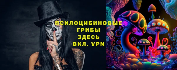 амф Алексин